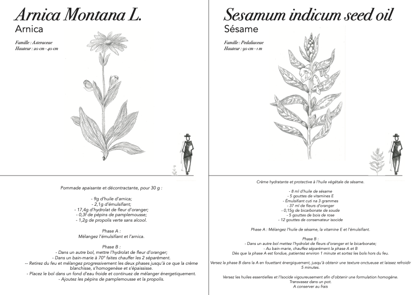 Herbier illustré animé : succession de fiches botaniques dessinées — arnica, sésame, blé tendre, menthe poivrée, géranium bourbon, abricotier, lavande, rosier de Damas, aloe vera… — chacune avec sa famille, sa hauteur et sa recette de préparation